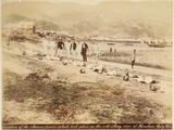 de nombreuses personnes se tenant sur le rivage de la plage