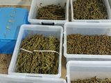 many bins filled with different types of grass