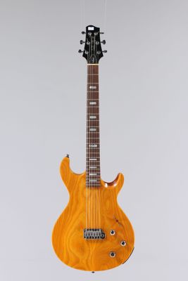 une guitare électrique suspendue à une corde sur un fond blanc