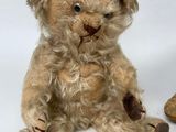 a teddy bear that is sitting next to a pair of shoes