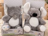 two stuffed animals are sitting in a box on a bed