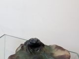 a glass table with a glass bowl on top of it