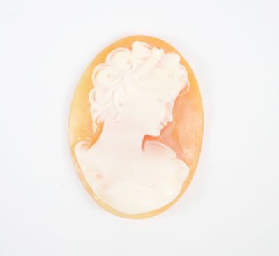 un camée sculpté représentant la tête d'une femme, en glaçage blanc