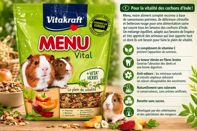 menu vitakraff menu vitakraff menu vitakraff menu vitakraff menu vitakraff menu vitakraff menu vitakraff menu vitakraff
