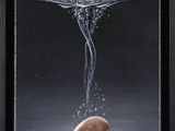 l'image d'une photo représentant un verre contenant une balle