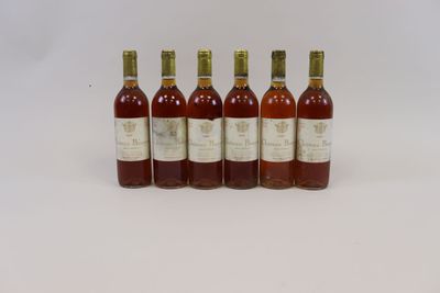 six bouteilles de vin sont alignées sur une surface blanche