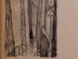drawing of a cat sitting on the floor in front of a curtain