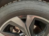 a close up of a tire with a dog underneath it