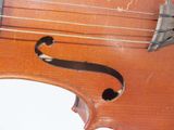 a close up of a violin that is on display