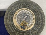 a medal and a pin in a box on a table