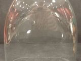 a clear glass vase with a cat inside of it