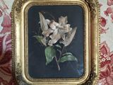 une photo d'une photo d'une fleur dans un cadre doré