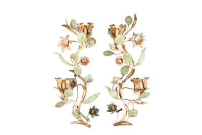 APPLIQUES (paire de) en fer forgé et tôle laquée à décor de …