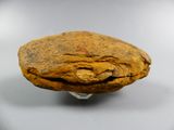 an image of a piece of rock on a white surface