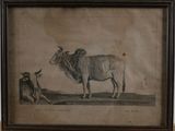 painting of a cow standing next to a cow laying down on the ground