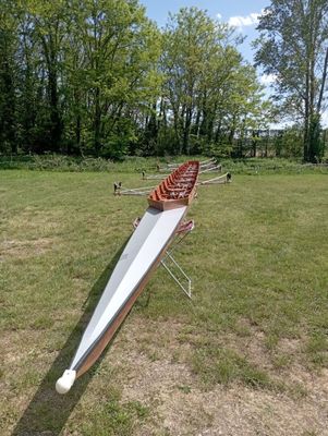 un long bateau qui est à l'abandon dans l'herbe