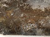 a close up of a metal object with a brown patt