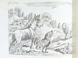 un vieux livre avec une image représentant un cheval et des poules