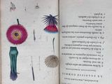 an open book with a picture of flowers and plants on it