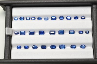 Un assortiment de saphirs bleus est présenté dans une vitrine