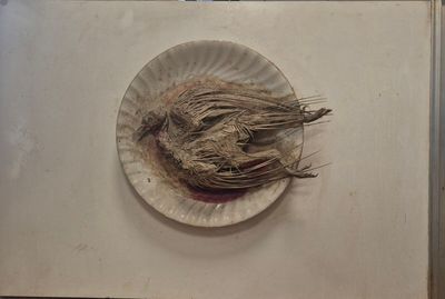 une assiette en carton sur laquelle se trouve un morceau de nourriture