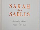 sarah and the sables by ivan dugard