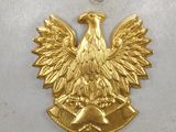 an image of a gold eagle on a white background