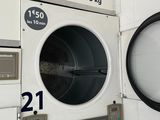 a row of washers and dryers in a laundry room