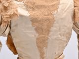 an image of a woman ' s blouse with a ruffle on it