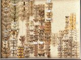 de nombreux types de plumes exposés dans une vitrine