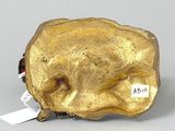 an image of a gold figurine of a dog on a rock