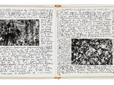 Photo 3/3 du lot