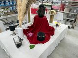 Photo 16/50 du lot