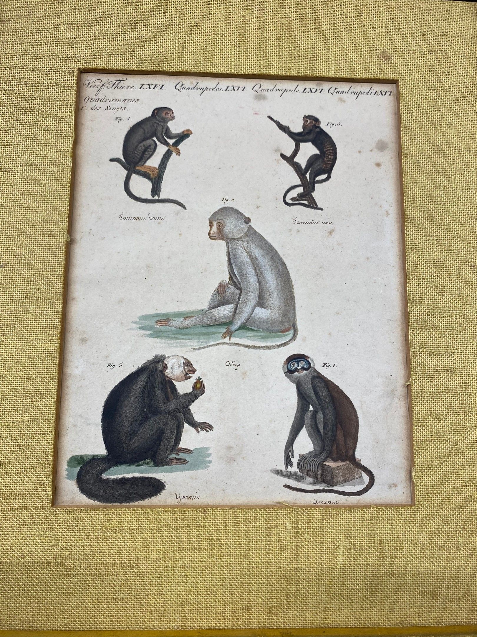 Objets d'art & Curiosités