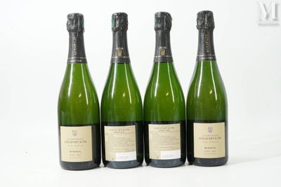 quatre bouteilles de champagne sont alignées sur une surface blanche