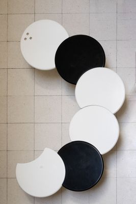 Isao HOSOE (1942-2015) et Ann MARTELLI (XXe siècle), édition…