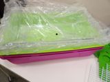 a plastic container with a green lid sitting on a table