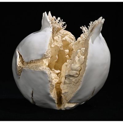 a white vase that has been broken open on a black background