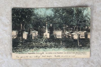 une vieille photo montrant un groupe de ruches dans un champ