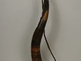 an elephant horn with a chain hanging from it ' s neck