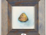 an oil painting of a shell in a frame on a wall