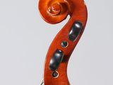 a close up of the back of a violin