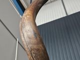 a very long horn shaped object on display in a building