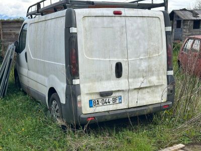 une camionnette blanche garée dans l'herbe