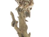 statue of an owl perched on a branch with a white background