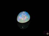 an oplite in the dark with a black background