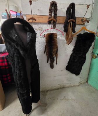 de nombreuses fourrures accrochées au mur d'une pièce