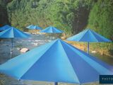 de nombreux parapluies bleus posés au bord d'une rivière