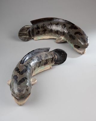 two fish that are sitting next to each other on a table