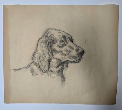 drawing of a dog ' s head on a piece of paper